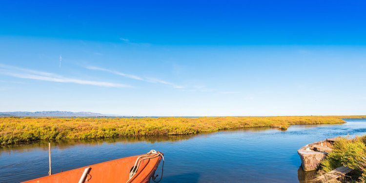 EspZurich's tweet photo. ¿Conoces la bonita bahía de los #Alfaques?
Dentro del #ParqueNatural del #DeltadelEbro #Tarragona, encontraras un pequeño paraíso.
💦#DeportesAcuáticos 🚣🏿‍♀️#Navegar 📷🦆#VerAves
💙Si eres amante de la naturaleza, te gustará este artículo.
https://t.co/LZc0VXXsyQ https://t.co/zGyMqwGD14