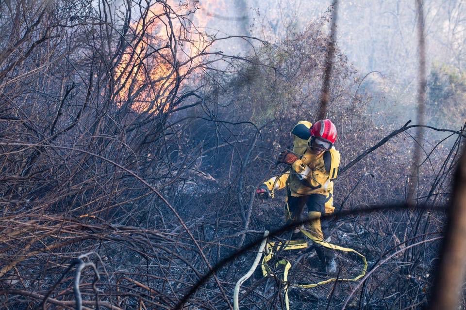 Contrôleur Général René Dies (@ddsis06) on Twitter photo Je salue l’engagement de tous les <a href="/PompiersFR/">Pompiers de France</a> engagés depuis le début du mois sur l’ensemble des feux qui sévissent.Un travail harassant, compliqué et extrêmement difficile. Merci aux renforts: <a href="/sdis83/">Sapeurs-Pompiers VAR</a>, @sdis04, @uiisc7 & moyens aériens <a href="/SecCivileFrance/">Sécurité Civile</a> pour leur aide précieuse. Je salue l’engagement de tous les <a href="/PompiersFR/">Pompiers de France</a> engagés depuis le début du mois sur l’ensemble des feux qui sévissent.Un travail harassant, compliqué et extrêmement difficile. Merci aux renforts: <a href="/sdis83/">Sapeurs-Pompiers VAR</a>, @sdis04, @uiisc7 & moyens aériens <a href="/SecCivileFrance/">Sécurité Civile</a> pour leur aide précieuse.