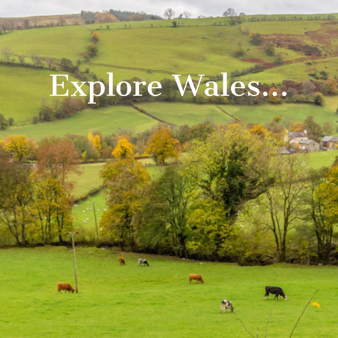Spring is a wonderful time to visit North Wales, from the winter-fed waterfalls to the beautiful blooming of wild flowers.

Book your Spring getaway with us now, we have the week of 26th April available in the Farmhouse. #wonderfulwales #springholiday #northwales