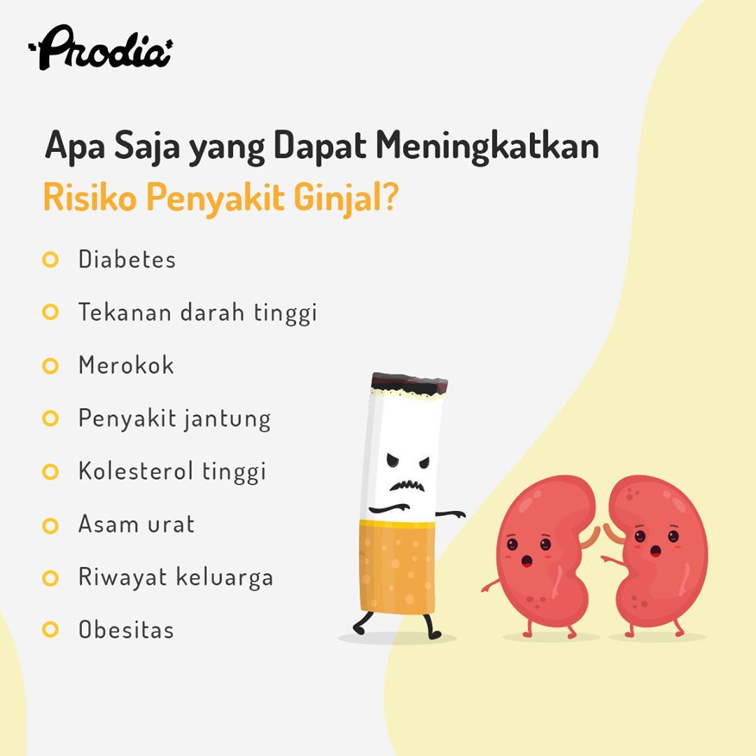 tangcity's tweet photo. Yuk lebih mengenal penyakit ginjal dan beri perhatian yang optimal dengan #LetsCheckUp di @Prodia_Lab

*Diskon hingga 10% untuk pengguna kartu Smart Shopper Tangcity Mall saat uji lab lho.

#tangcity #lab #mall #member #tenant #partner #tangcitymall #ginjal #KidneyDay2019 https://t.co/hm9S3C4L2K