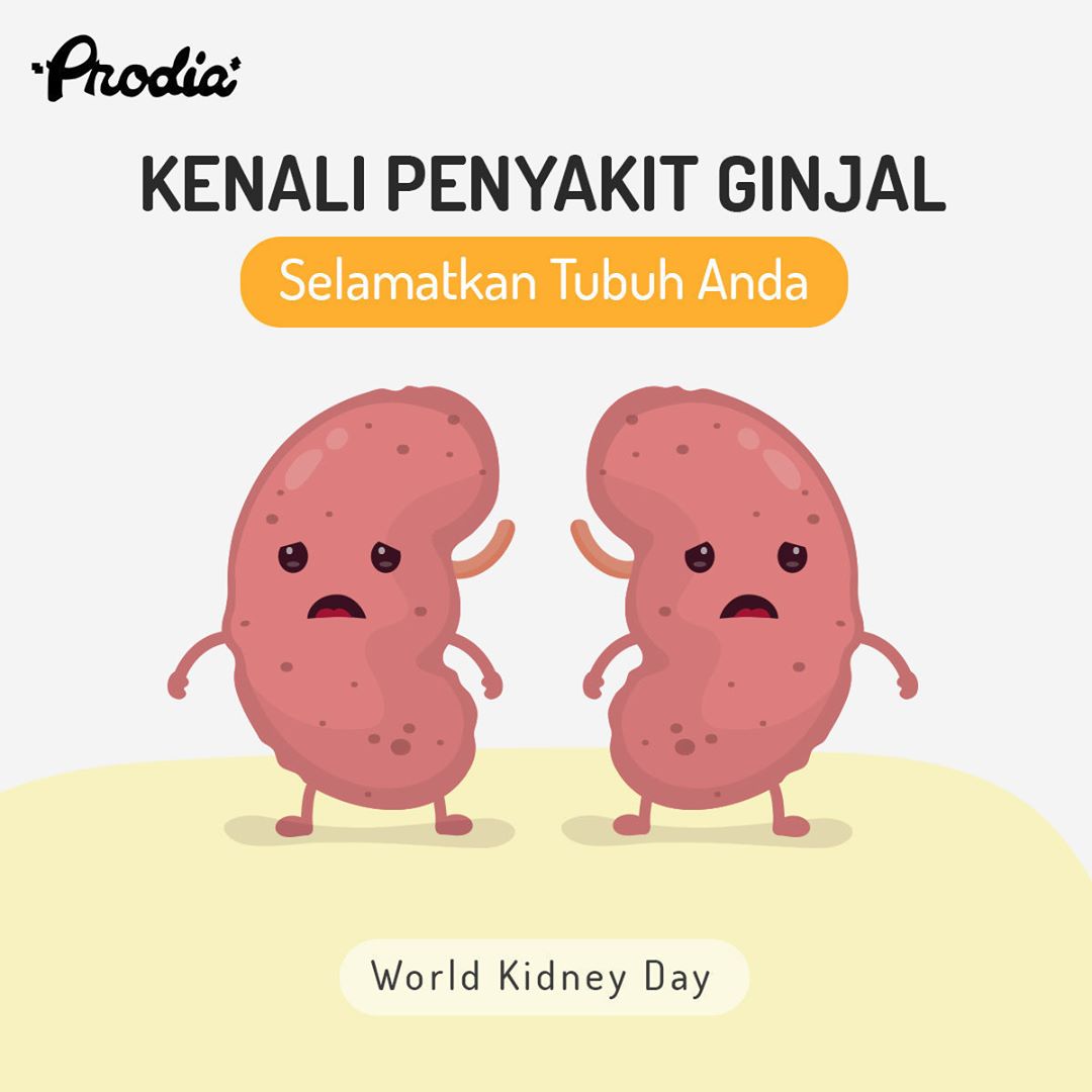 tangcity's tweet photo. Yuk lebih mengenal penyakit ginjal dan beri perhatian yang optimal dengan #LetsCheckUp di @Prodia_Lab

*Diskon hingga 10% untuk pengguna kartu Smart Shopper Tangcity Mall saat uji lab lho.

#tangcity #lab #mall #member #tenant #partner #tangcitymall #ginjal #KidneyDay2019 https://t.co/hm9S3C4L2K