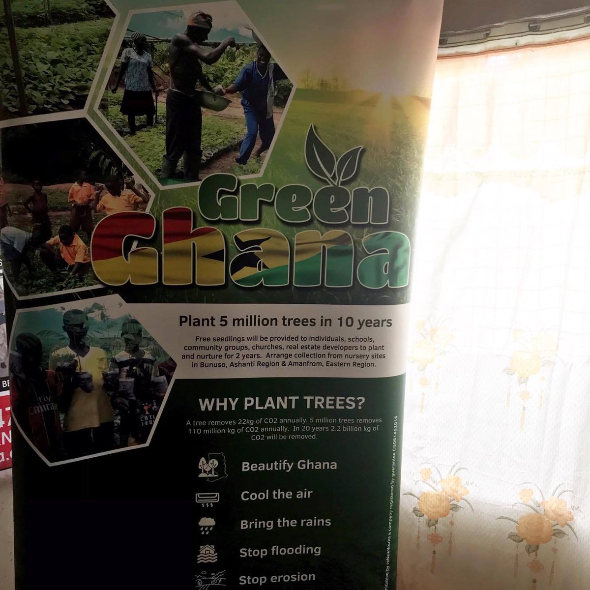 KITA is launching a tree planting campaign! Let's green Ghana!! #trees #greening #treeplanting #lovenature #ecolive #sustainability