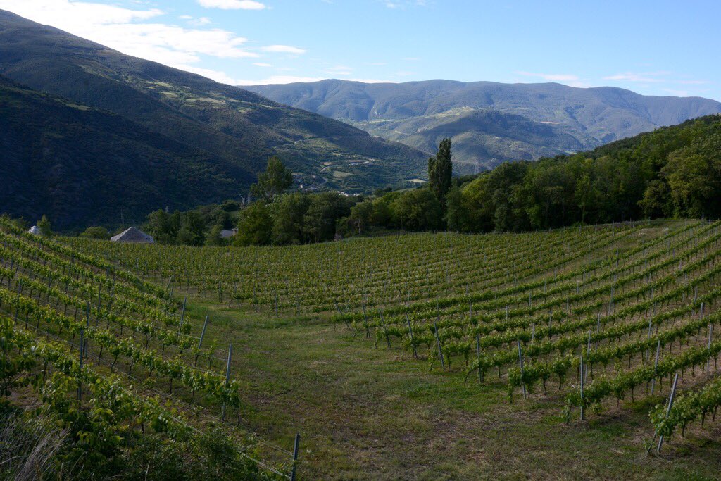 cotavins's tweet photo. ☝🏻 Celler confirmat @BatlliudeSort ☝🏻
☑️ 500-920 metres
☑️ Borda de Cebrià, Pallars
☑️ Cultiu ecològic
☑️ Pinot noir, riesling, viognier
☑️ Petita producció
🔜 El 20/04 els podràs tastar al COTA!
🎟 Compra entrades a: https://t.co/eFi8EY8TnZ #cotafest #cotavins #vinsdaltura https://t.co/bIQTPfgbEf