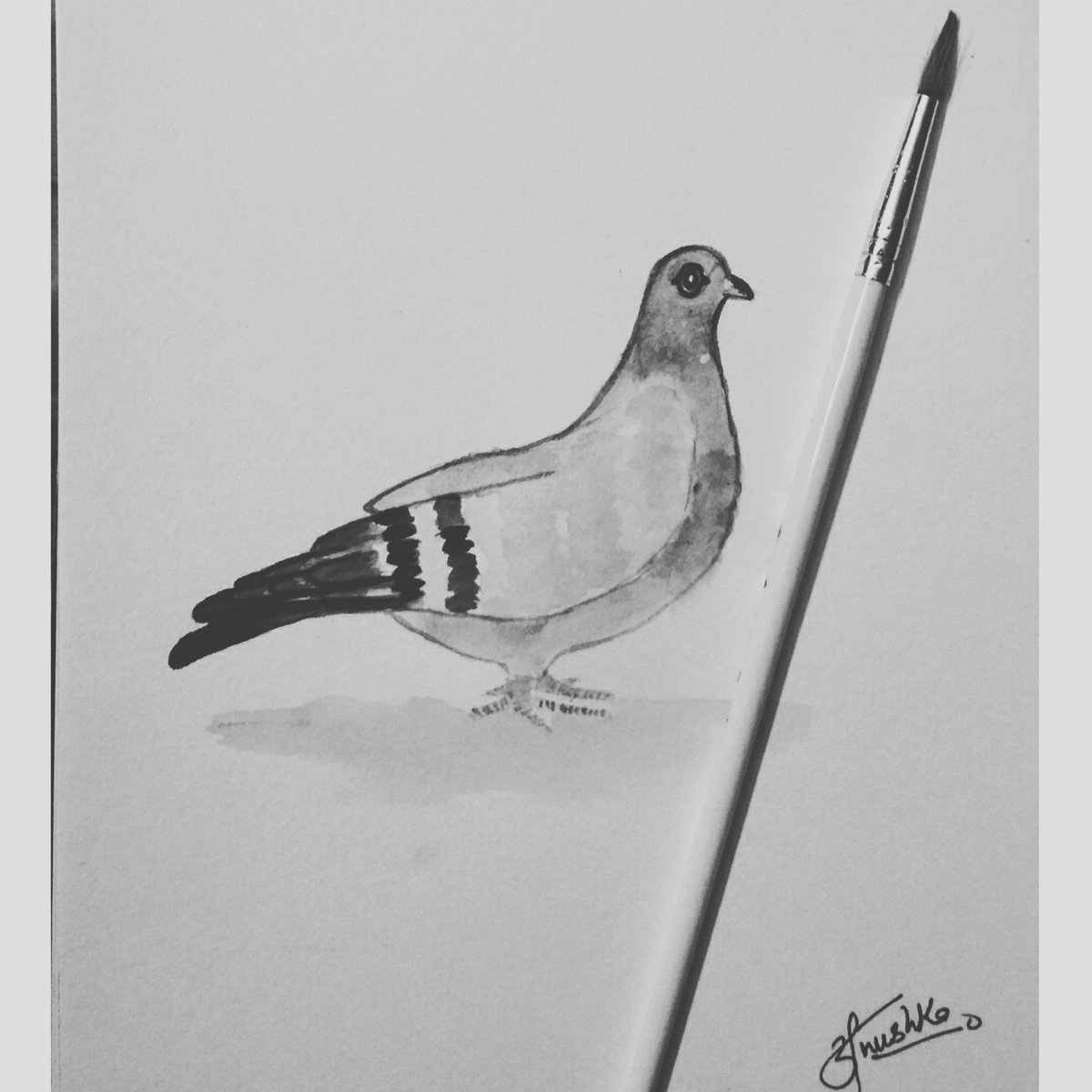 AnushkaMalik25's tweet image. Pegion 🐦
#pegion #pegionlove #pegionlovers #pegionpainting #blackpainting #sketch #painting #blacksketchpen #creative #sketchpen #colour #art #myart #follow #newdelhi #india #artistsontwitter #dailyart  #painting #art #sketch_dailydose #artwork #colourful #nushartbyanushkamalik