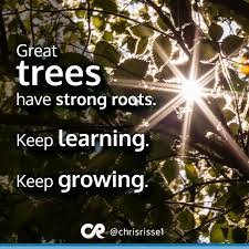 contentwritin13's tweet photo. "Great trees have strong roots,keep learning and keep growing"#monday #mondaymorning #motivation #mondaymotivation #struggle #life #lesson #hardwork #failure #believe #BelieveInYourself https://t.co/2rxgf66bl5