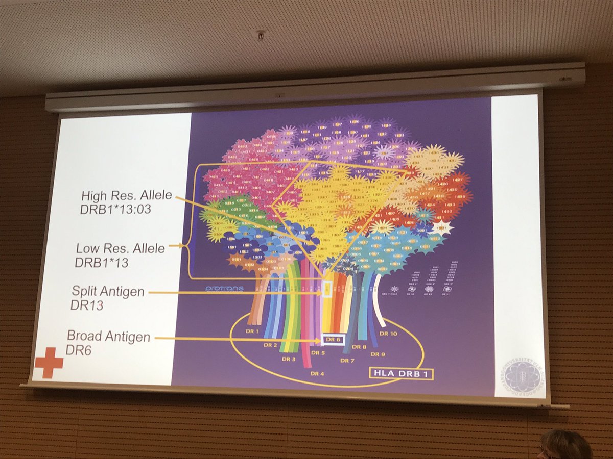 WMDA_office's tweet photo. Evolution of HLA, great lecture by Joannis  Mytilineos in Analog 1. #EBMT19 #WMDA2019 https://t.co/E0EAa1lZxX