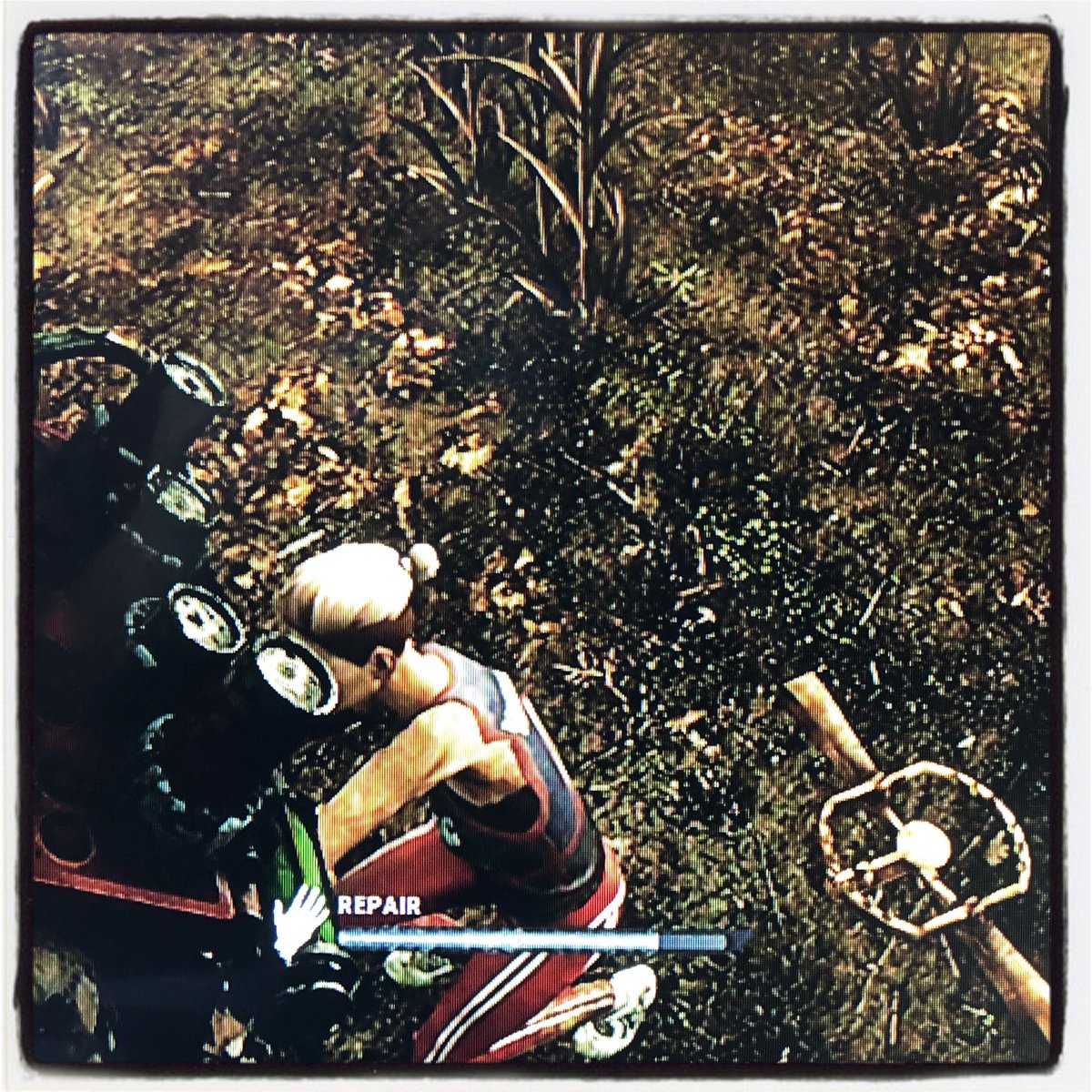 MissKryptonite1's tweet photo. A couple more inches back and Meg would have found herself in a BOOTY trap. ๐ #deadbydaylight #dbd #twitch #twitchkittens #scopegaming #pcgaming #twitchaffiliate #twitchfam #megthomas #streamsconnected #twitchcommunity #theangelraiders #misskryptonite https://t.co/ve7zmCfNYS