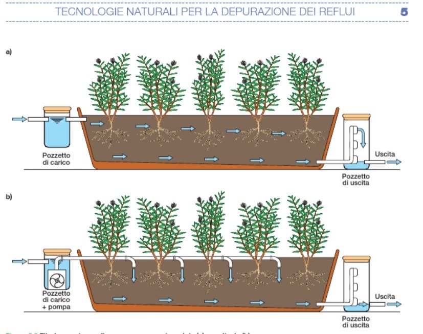 ecogroup7's tweet photo. Per un futuro sostenibile la #fitodepurazione rappresenta una tecnica di bonifica naturale per la rimozione dei microinquinanti dalle acque.
#bonifichiamo #environment #Engineering #sostenibile #SaveThePlanet #unina19 #natural https://t.co/rPZ32kZcdl