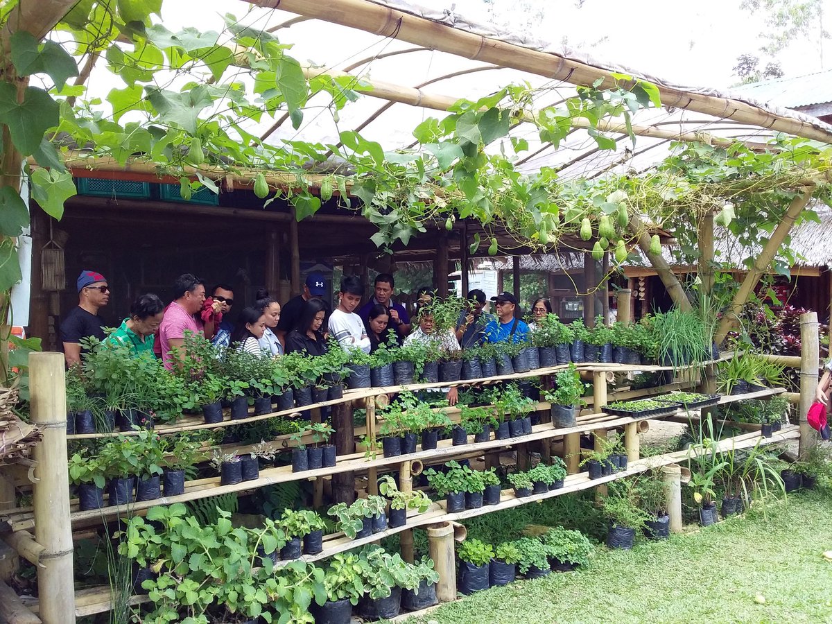 AtiRtc13's tweet photo. ICYMI: ATI-Caraga staff benchmark @Alomah's Place, Bukidnon: A home for organic vegetables #aticaraga #atiinspire #atifotos #atiinteractive #ishareknowledge https://t.co/eqRU6qz8ZR