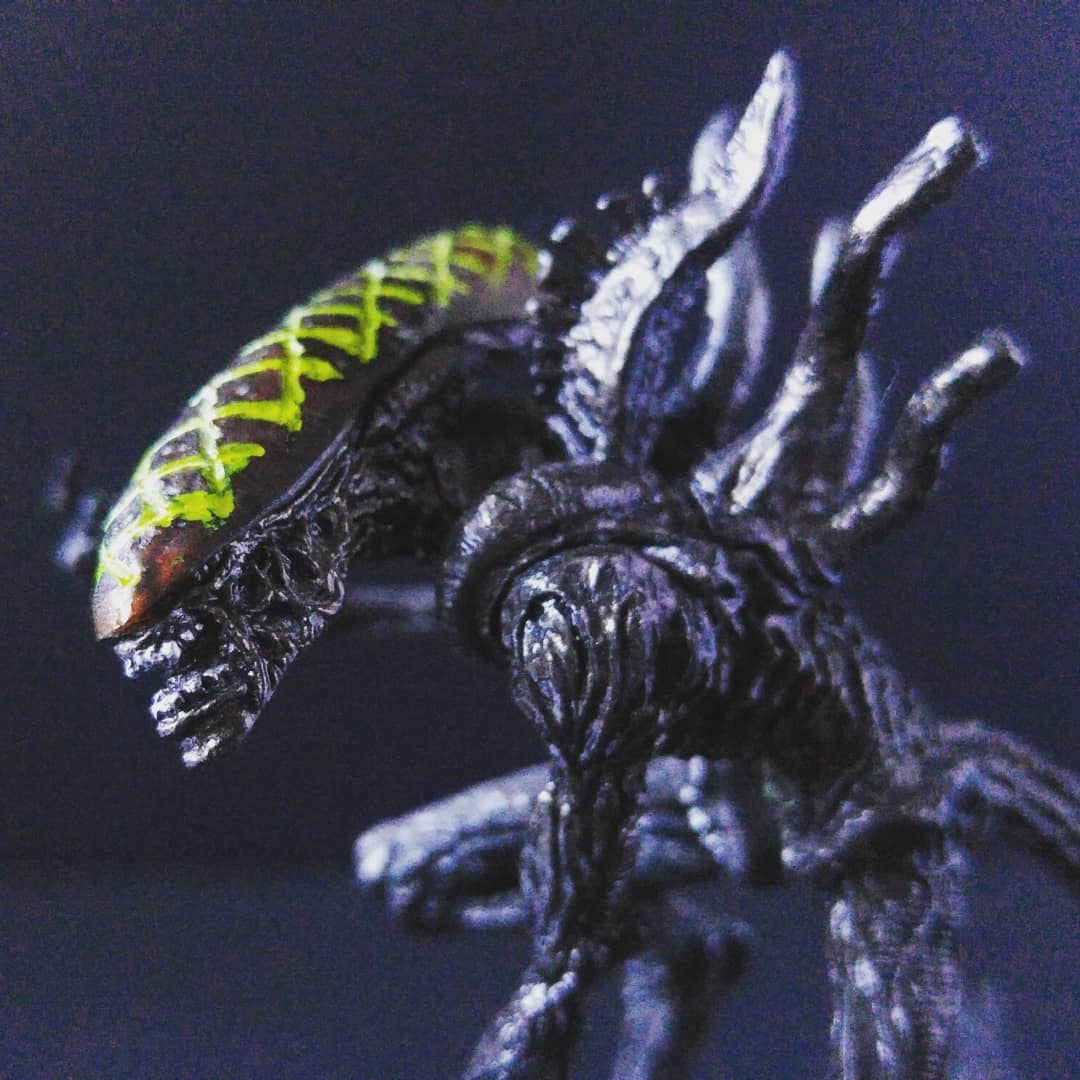 ToribiosHouse's tweet photo. First one of six #minifigures #diorama #gasaphon set from my #collection, from #kotobukiya #avp #alienvspredator
👉https://t.co/nkODTnQdMV👈
#actionfigures #toy #collectortoys #figurecollection #figurecollector #collectibles #geek #movies #alien #aliens #predator #scifi https://t.co/bSzfPCJoo5