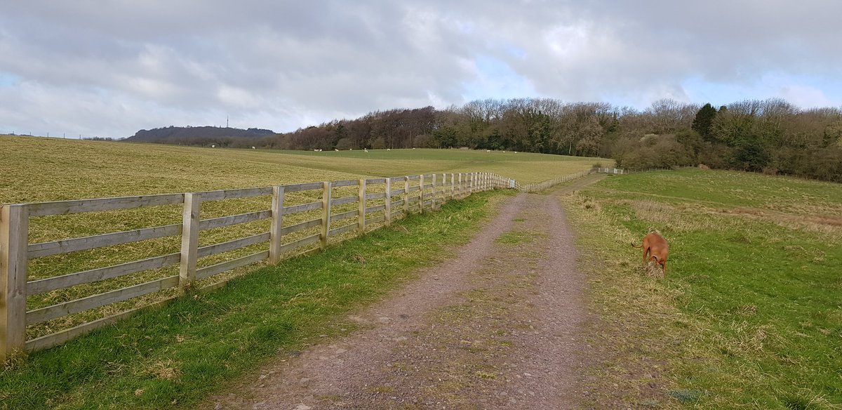 TSCarpetClean's tweet photo. Daily weather report.... its another gorgeous day!
#Wellington #Telford #Shropshire #Wrekin https://t.co/B4SHNcFRuf