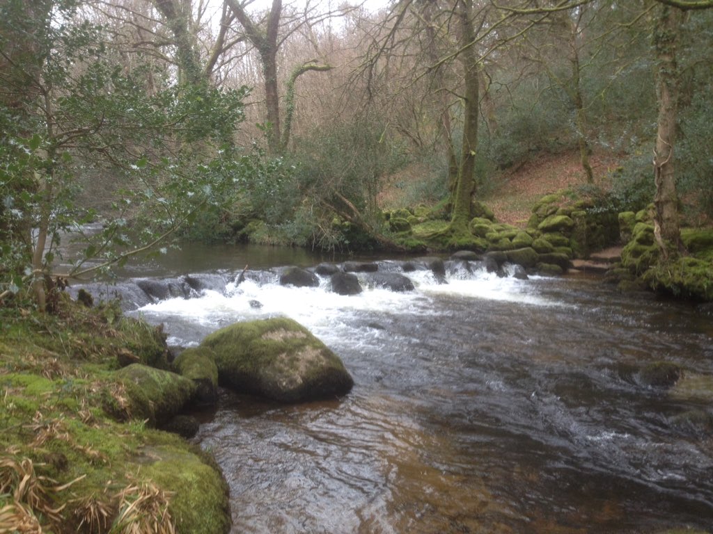 Barbaraswalking's tweet photo. 13 miles, lovely walk from #Chagford yesterday. Didn't see anyone famous in village #Chagword. Lingcombe very tidy, baby lambs #Yardworthy, lunch + views #Kestor, #10TorsTeams out, #Buttern and return via #Gidleigh @dartmoornpa @RamblersGB no river crossing https://t.co/bOjIVRQhmk