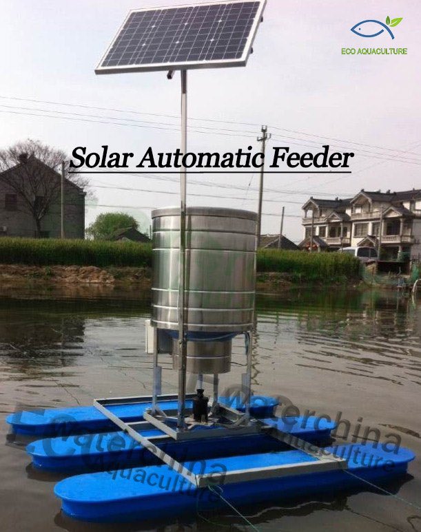 shrimp auto feeder