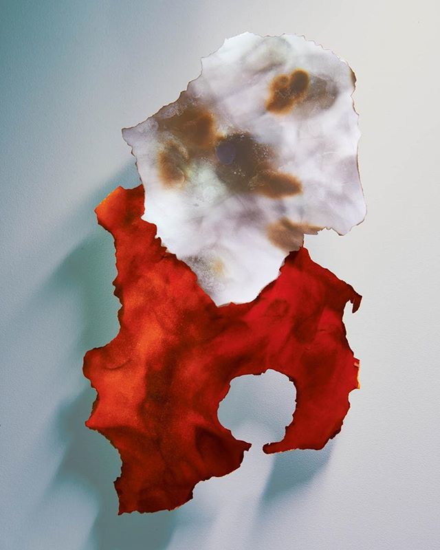 Attonconrad's tweet photo. Colour Abstract 🔥
.
.
.
.
#photography #stilllifephotography #colours #lightphotography #paintingwithlight #paintingwithlightphotography #thinkcolour #setlife #adlife #artbuyers #litbyhand #londonphotographer #conceptphotography #photography #studios… https://t.co/MzBbfEnvVz https://t.co/DSs2XrsDQO