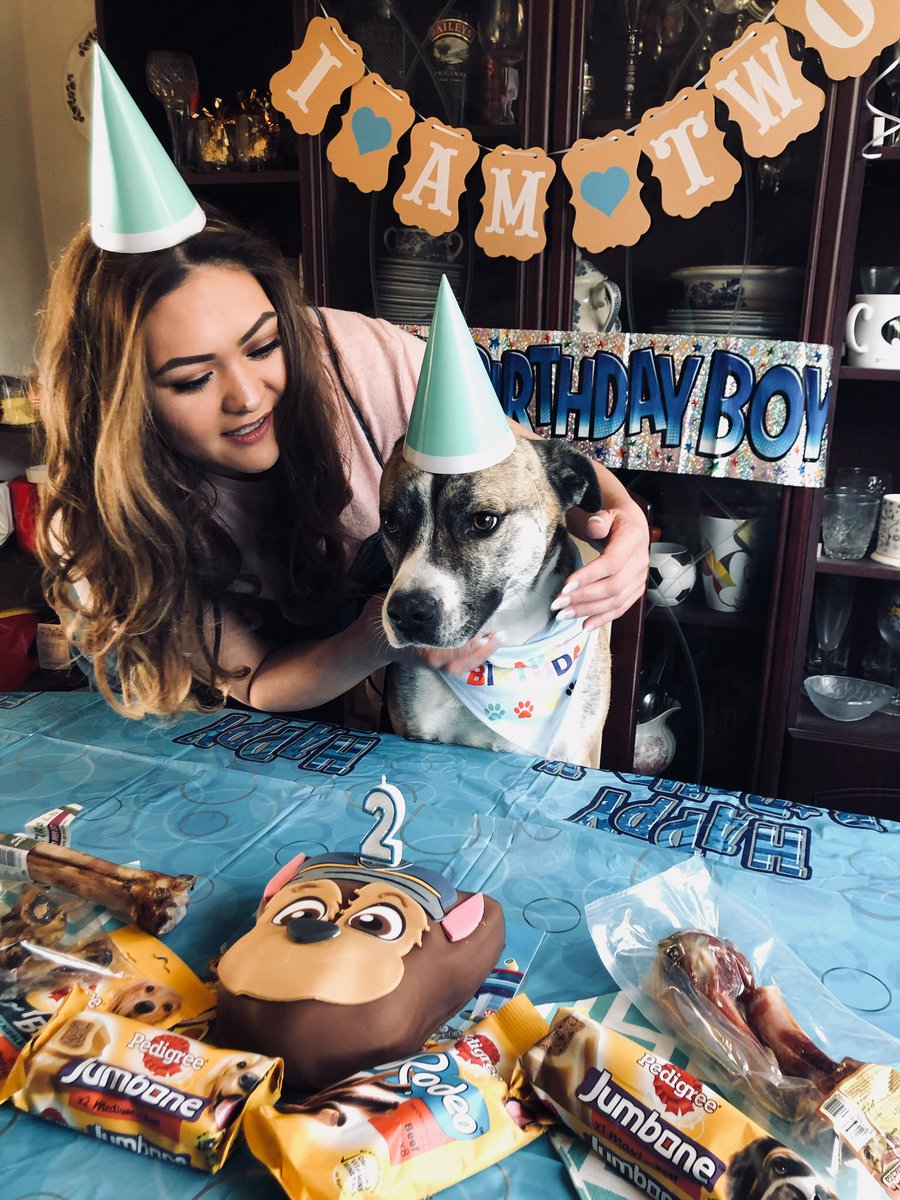 Sheenyyyyyy's tweet photo. I am that crazy dog mum. https://t.co/2U5GGCVhJz