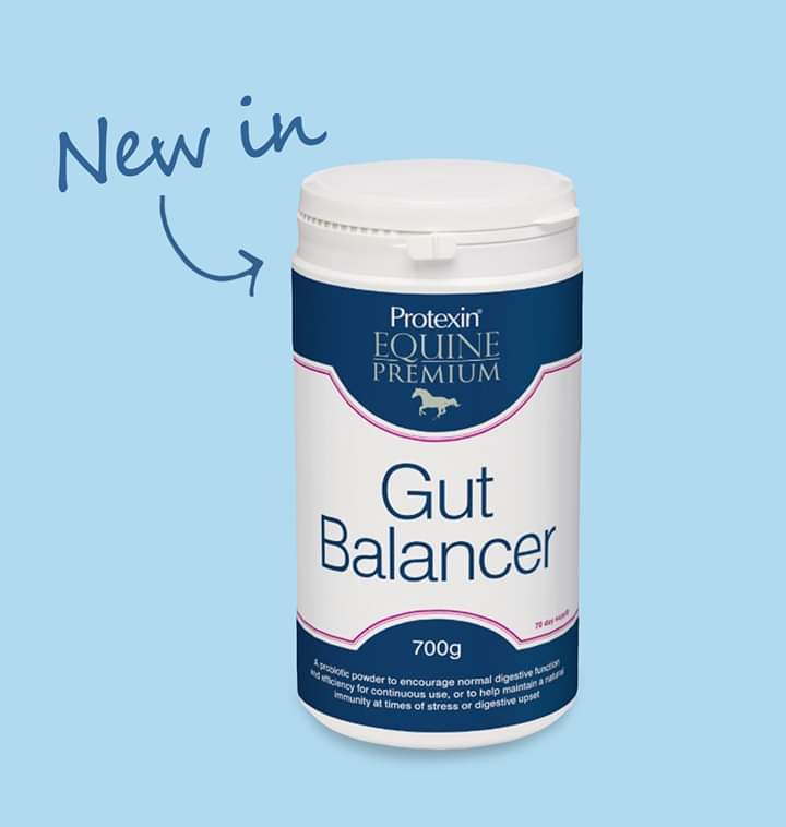 New in! <a href="/ProtexinEquine/">Protexin Equine</a> Gut Balancer - perfect for everyday feeding to optimise digestive function. #Equine #GutHealth