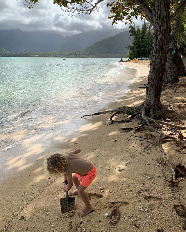 jfabs's tweet photo. Apollo doesn’t exactly relax just yet
.
.
.
.
#toddlersofinstagram #shotoniphone #busy #luckywelivehawaii https://t.co/kYKfU3OKjw https://t.co/OsML10RO55