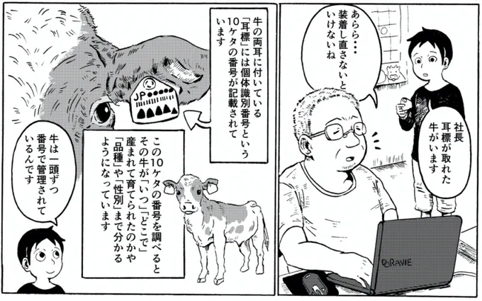 (有)矢野畜産様より?オウンドメディア『肉の手帳』にて「牛トレーサビリティ」の漫画を寄稿させて頂きました！牛の「耳標」と「牛トレーサビリティ」について2p漫画を描いておりま… 