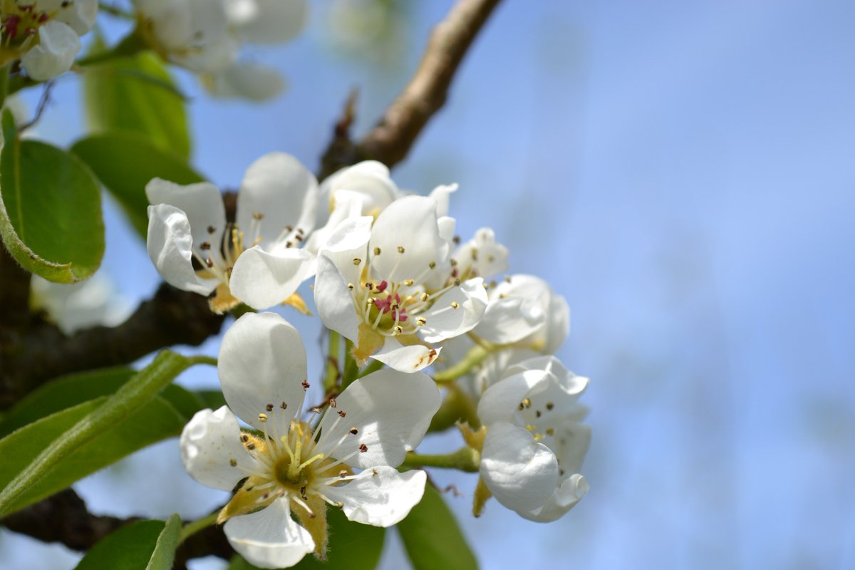 If you want your new business to be buzzing or for your long-standing business to spring back to life, then call Worldwide Webdesign on 01323 739376. To read the full blog post visit: worldwidewebdesign.co.uk/a-blooming-goo…