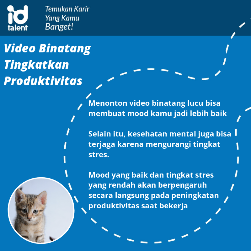 Kalau ada video binatang lucu di timeline, jangan langsung dilewatkan ya!
----------
#funfact #productivity 
#produktivitas #work #kerja 
#tipskerja #tipskarir #stressrelief 
#pelepasstress