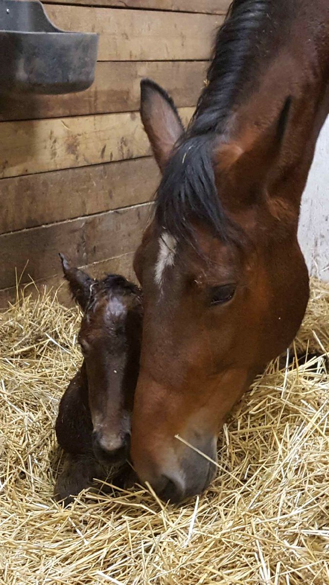 Nytt föl, nytt hopp och nya förväntningar. E. Up &amp; Quick , u. Min fina Beauty World (Kadabra) Kärlek❤️❤️