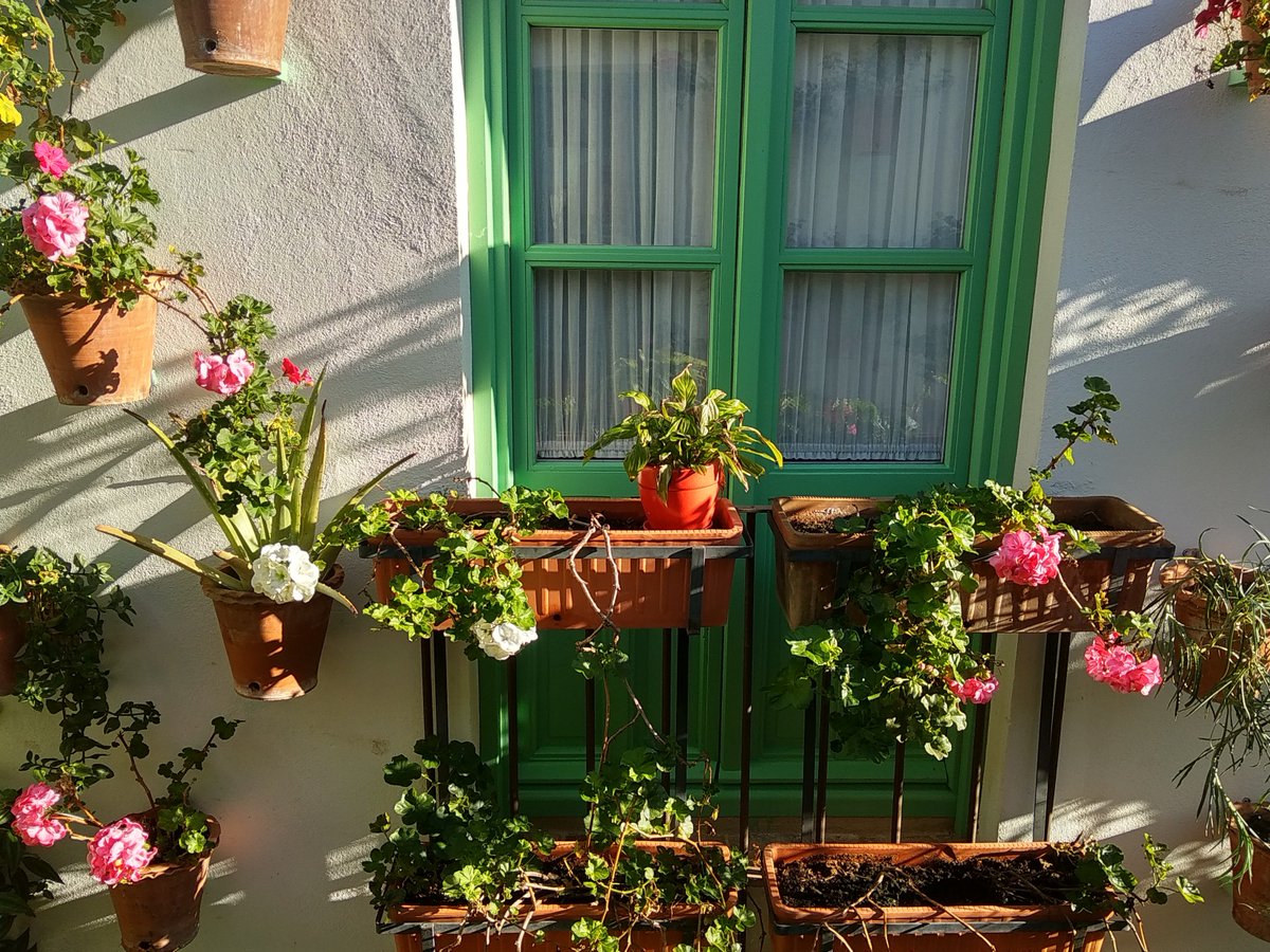 PatioCosturera's tweet photo. vecinos #elpatiodelacosturera

#lugaresquevisitar #placestovisit #vacaciones #holidays #hiddenplaces #flores #flowers https://t.co/Mnl3rQDJn0