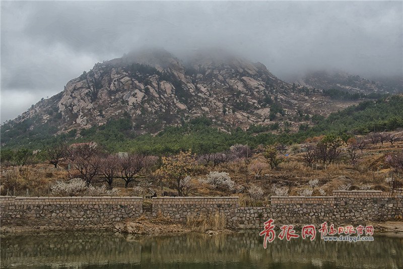 loveqingdao's tweet photo. Laoshan Mountain is shrouded in mist after a hearty spring rain, giving it an otherworldly aura. https://t.co/uZ0V3d3DIA
