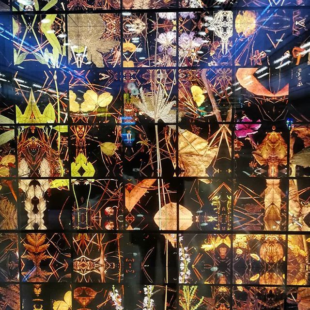 The Big Red Stop tweet media