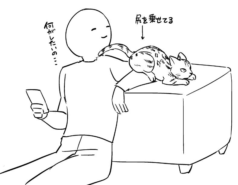 行きつけの猫の行動がよくわからない 