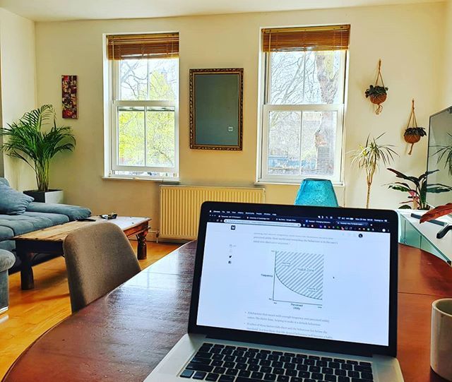 cuonglu's tweet photo. First day working full timing on my personal project! Exciting times 😊 #startup #entrepreneur #remotework #discovery #design #homeoffice https://t.co/sFEoe41dW4 https://t.co/C3zVyl83ue