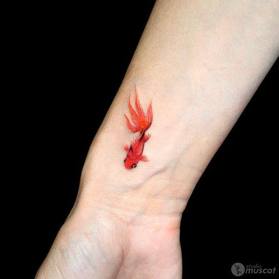 Sketch of tattoo art, japanese goldfish Stock Illustration by ©outsiderzone  #10685836
