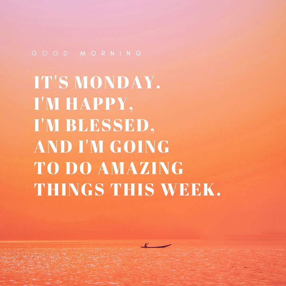 Atlantic Intl Bank tweet media