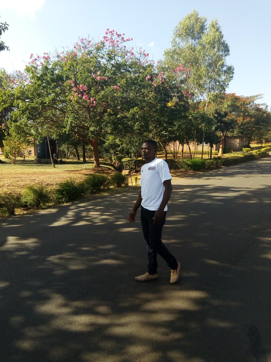 Monday,,,, Monday,,,