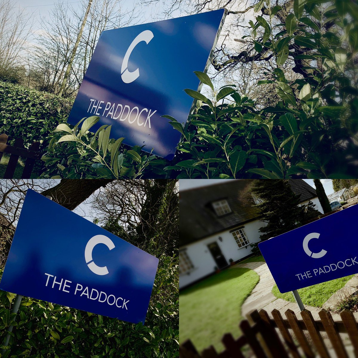 Dzinr ® tweet media