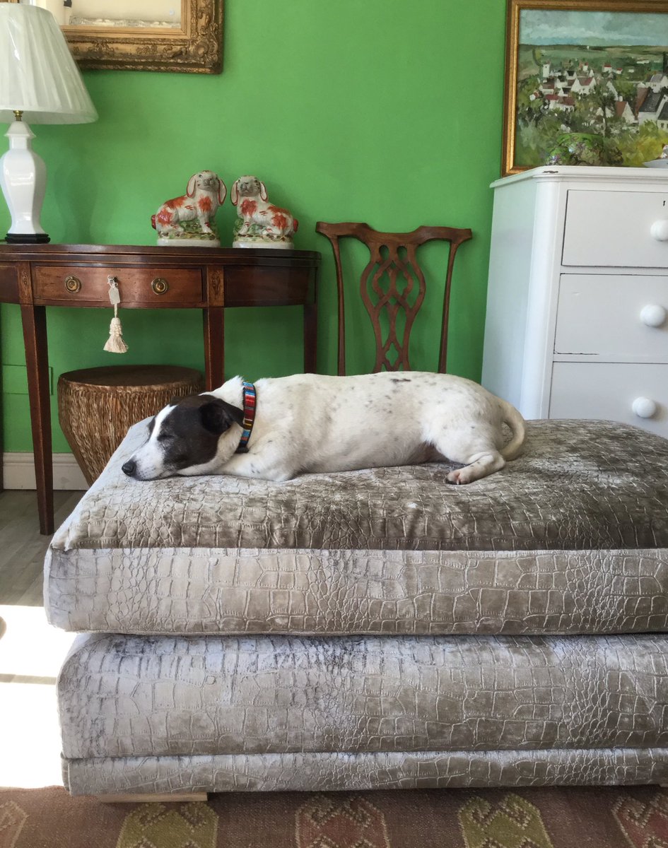 diggerandmojo's tweet image. Someone’s happy #sunshine #antiques #upholstery