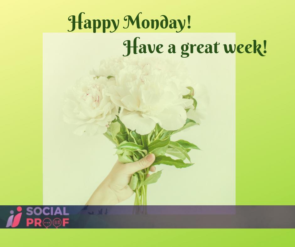 SocialproofC tweet picture