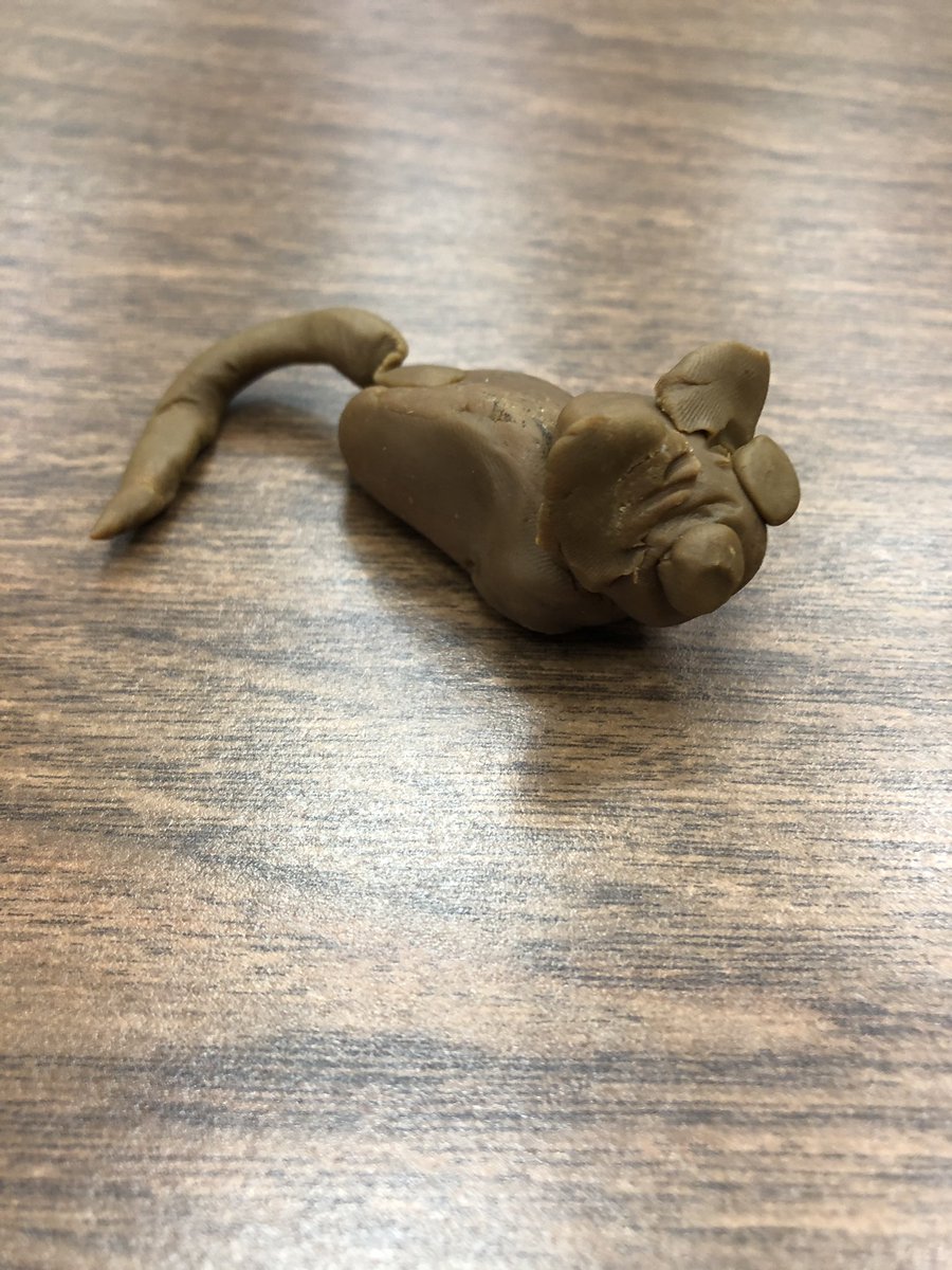 yourmortonlib's tweet photo. Our bears are coming out of hibernation today in the library.  Thanks Mrs. McDonald for your contribution of a little mouse to go along with our story. @aisdlibsrv https://t.co/GStGQk1HVB
