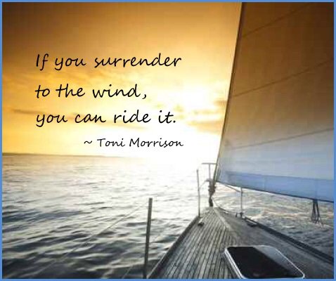 treeoflifejwr's tweet photo. Anyway the wind blows.... https://t.co/wsdKyMsJJp