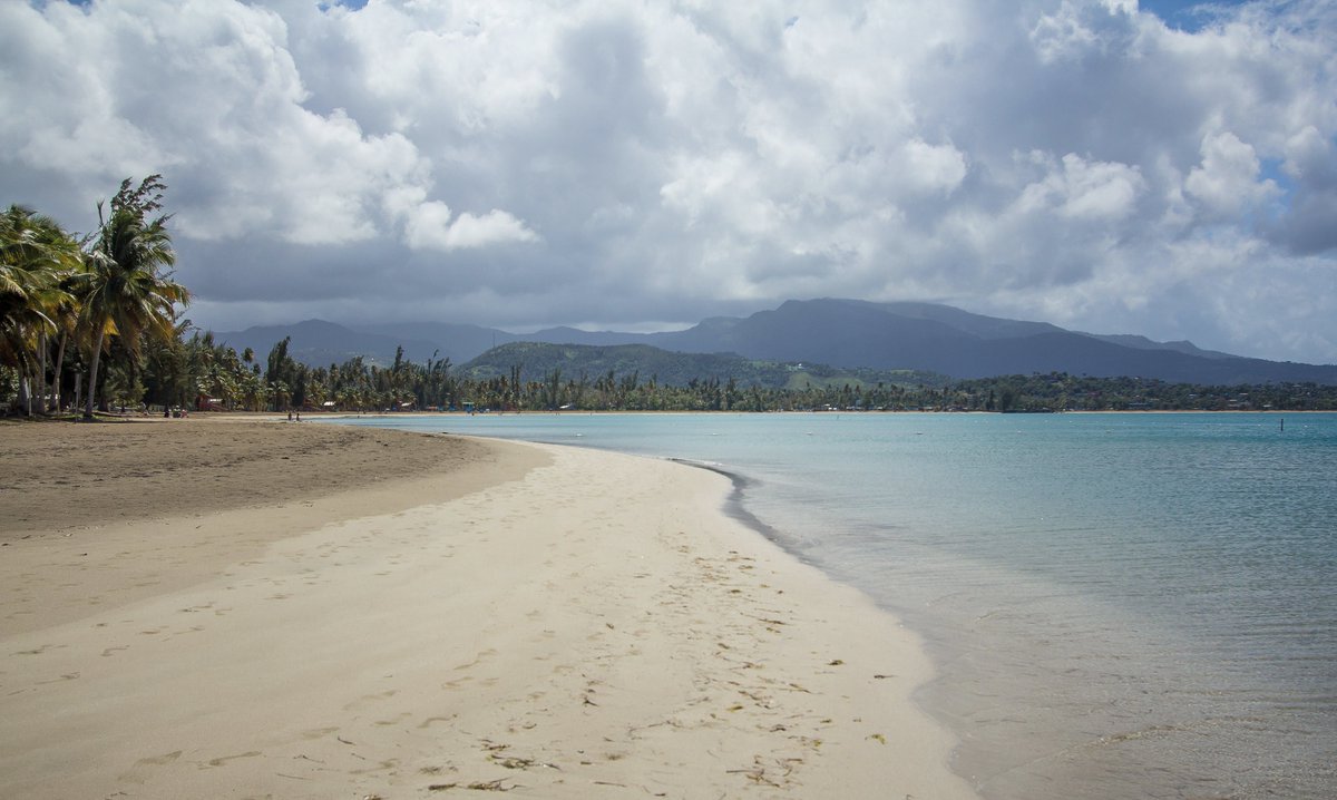 V_Fugere's tweet photo. Very grateful to @GRIL_Limnologie and @aslo_org for allowing me to visit beautiful #PuertoRico! Here's a few (late) post-conference photos. #ASLO19 https://t.co/SjH4TGMcy6