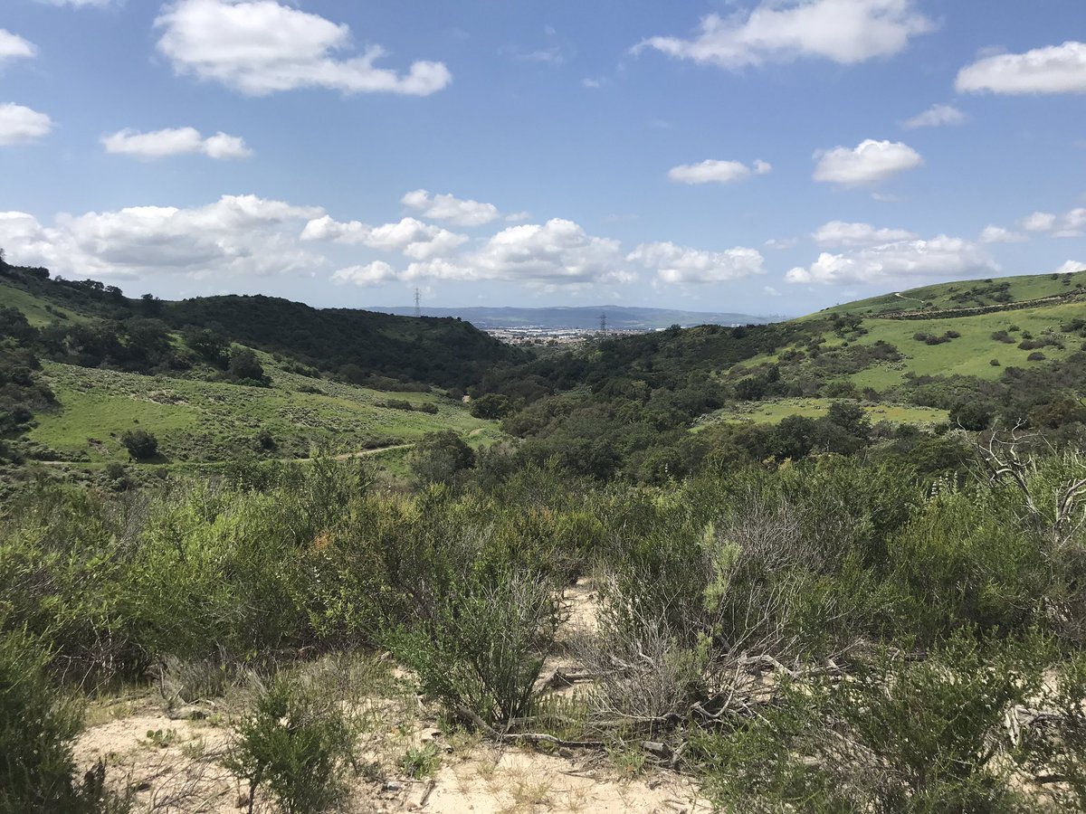 canyongirl28's tweet image. #hike #whitingranch #nature