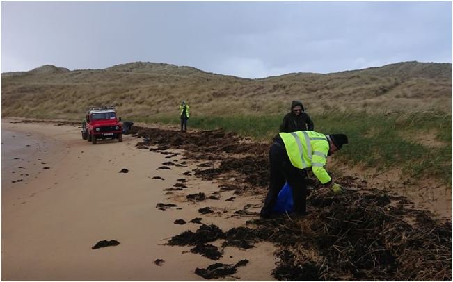 donegalcouncil's tweet photo. Great work by our Big #Donegal Clean Coast Ambassador Sarah Sayers &amp; the Falcarragh Clean Coast Group at the weekend who braved the elements &amp; picked quite a bit of rubbish. 
Well done to all involved!! 👏
Info on how to get involved ➡️ https://t.co/Onj8q9G0ZE #BigDonegalCleanUp https://t.co/at9okRi7I7
