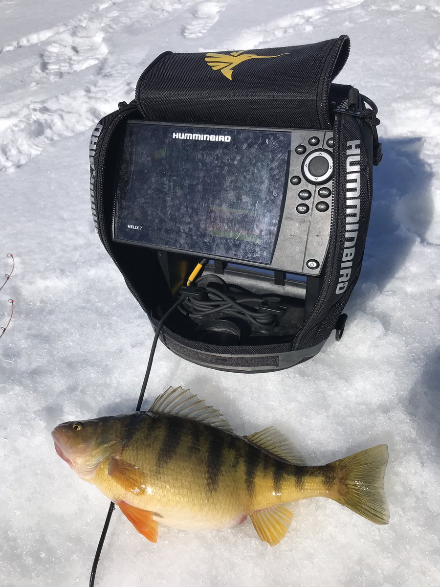 brobull's tweet photo. @Frabill_Inc #icefishing w/the help of @HumminbirdFish it’s #TimeToFish #MondayMotivation @brobull #Humminbird @NorthlandTackle #mudbug #northlandfishingtackle #findyourfishing Bro https://t.co/VOtgoWz4It
