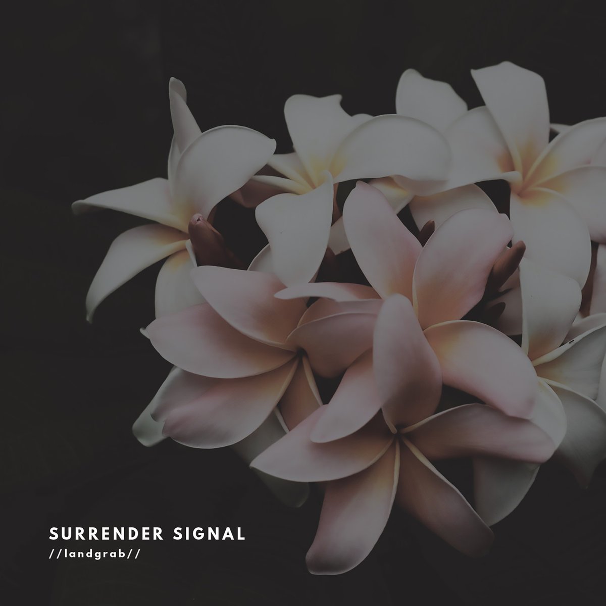 youheardthispod's tweet image. #NowPlaying ! Tired by @SurrenderSignal - Tune In CapitalRockRadio.com or tun.in/sftnn #AlternativeRock #IndieRock #StonerRock #PsychRock