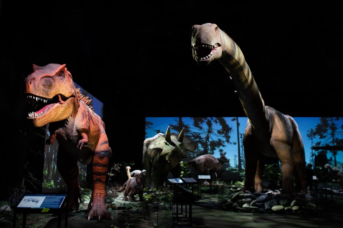 Heurekafi's tweet photo. Jo yli 100 000 kävijää Heurekan dinosaurusnäyttelyssä
https://t.co/jI2G01XN0L #Heureka #Dinosaurukset https://t.co/5OzAPkRvvs