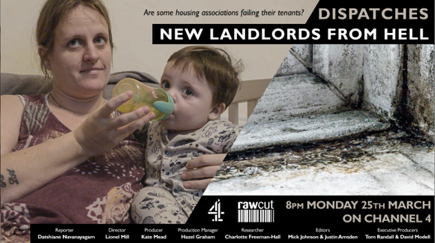 RawCutTV tweet media