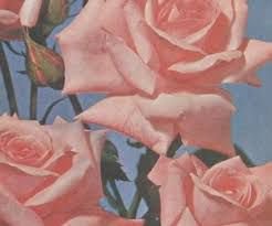 lapidariius's tweet image. don’t 𝒕𝒉𝒓𝒆𝒂𝒕𝒆𝒏 me
    with a 𝒈𝒐𝒐𝒅 𝒕𝒊𝒎𝒆 !

➣ ( au ) leaf . tw . pt .
➣ intro: twitlonger.com/show/n_1sqp2oa…