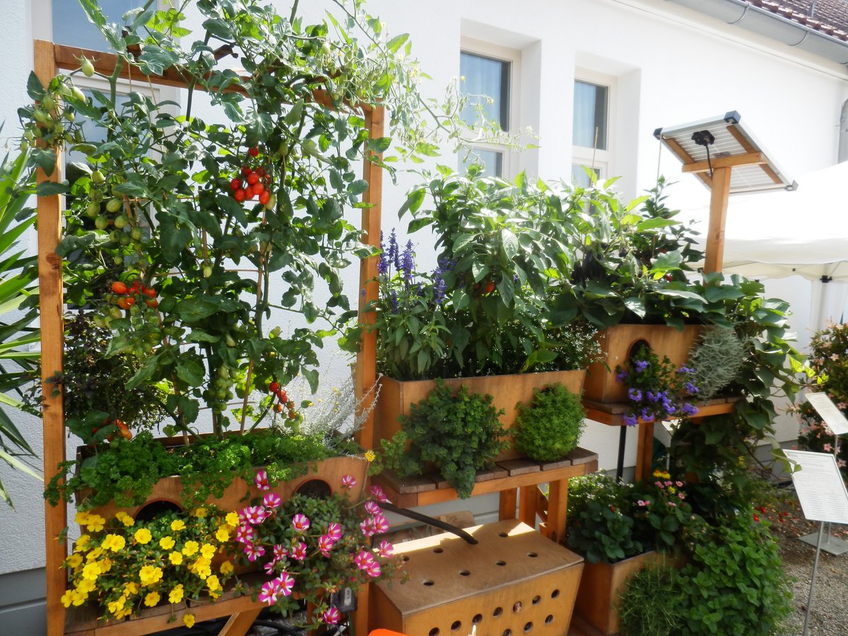 oekoRAUSCH's tweet photo. Lust dein Leben nachhaltiger zu gestalten, Gemüse ohne Pestizide zu essen und deinen Abfall wieder zu verwenden? Diese schönen Pflanzkästen machen es ganz einfach möglich... #Geco-Gardens 
https://t.co/EU4z7LYsN0 https://t.co/Rlv6Ip1E2n