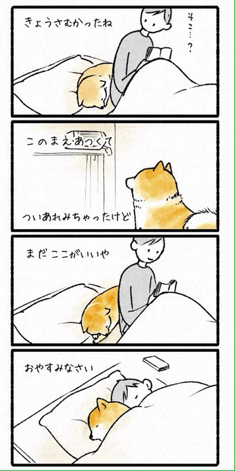 暑かったり寒かったりだね。 