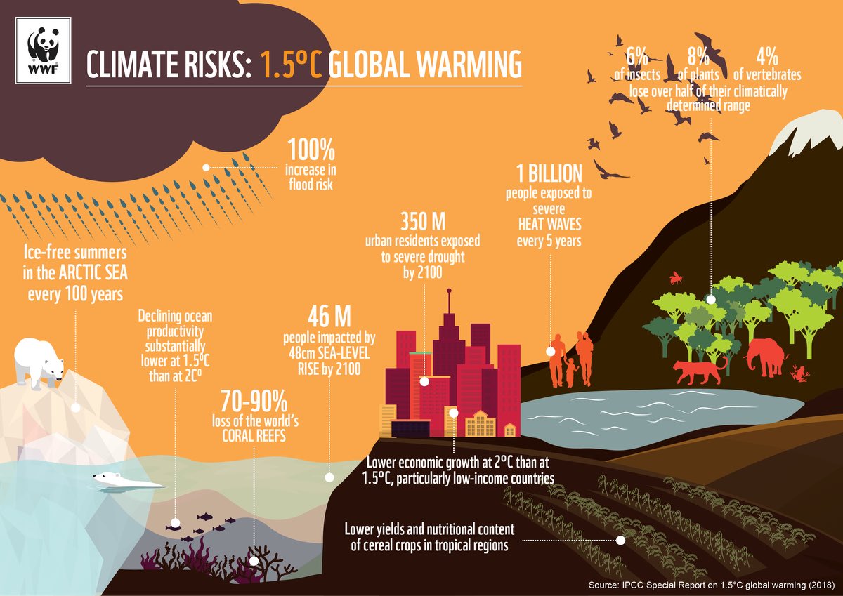 BiasonElena's tweet photo. “Once we start to act, hope is everywhere. So instead of looking for hope, look for action”.

#climatechange https://t.co/D2vYgxCIn8
