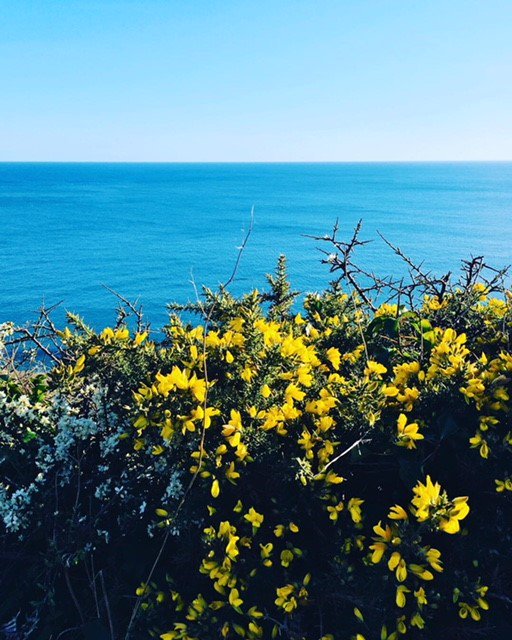 PlymUniApply's tweet photo. πΌThere's nothing better than being by the sea on a sunny day - how did you spend the first weekend of Spring?πΌ#MondayMotivation #studybythesea #swisbest #plymuni https://t.co/TgV4kI4GgE